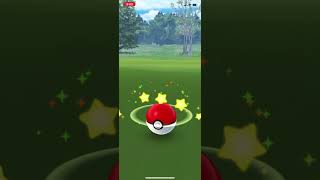 【ポケモンGO】マフラー着たタマザラシ！！#shorts