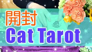 【開封動画】Considerate Cat Tarot【コンシダレートキャットタロットカード】