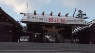 円山公園2019年末