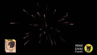 Nine Lives - Black Cat Fireworks