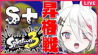 【スプラトゥーン3】初のＳ+昇格戦に挑む‼バンカラマッチ🦑【Vtuber/伊奈利やっこ】