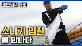 대한민국 태도, 부시리 방어를 선물하다 [빅게임 더 와일드/13회 태도 3편]