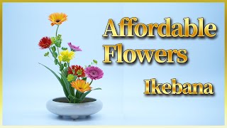 Ikebana Lesson | A Wide Variety at a Low Price, Available Annualy! | How to Arrange the Gerbera