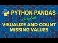 Python Pandas Visualize and Count Missing Values in DataFrames