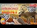 Taking a VIEWER on a GUIDED DIAMOND HUNT!!!  LIVE with Lady!!!