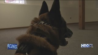 Training, community engagement sets Green Bay K9 Unit apart