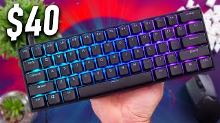 $40 Is An Absolute Steal For This Keyboard! - Ranked N60 NOVA