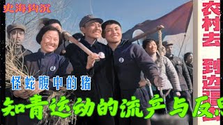 史海钩沉 | 知青运动的流产与反思####怪蛇腹中的猪