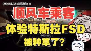 Rideshare Passenger Tries Tesla FSD  in China and Ends Up Sold on It