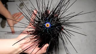 Eating a STARFISH covered in VENOMOUS STINGERS【ENG SUB】