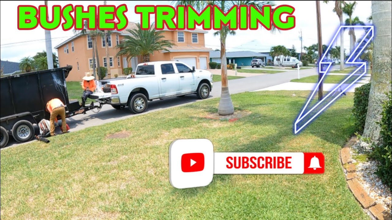 Bushes Trimming Youtube