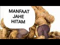 7 Manfaat Jahe Hitam yang banyak orang tidak tahu