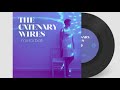 The Catenary Wires - Mirrorball (2021) (Audio)
