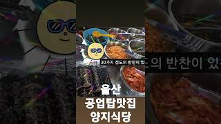 울산공업탑 가성비맛집양지식당이게 다 6000원?!