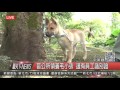 1060629觀天下新聞（hd live直播