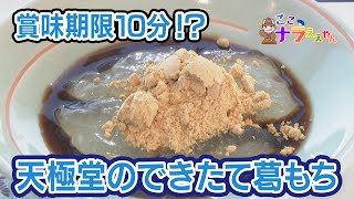 賞味期限10分の葛もち！？天極堂に潜入【笑福亭鉄瓶のここナラええやん】