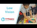 Tools & Ideas to Help with Low Vision (Ep. 43 - Low Vision Kit)