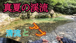 真夏の川釣り【フライフィッシング】清流とアブ【山陰】