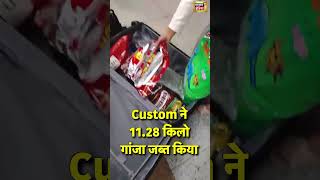 IGI Airport पर Custom ने 11.28 किलो गांजा जब्त किया