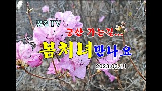 [꿈길TV] 산행길에 만난 봄처녀 (弓山 산행)