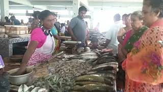 Ongole... fish ..market