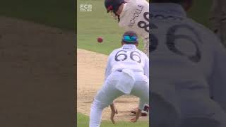 😅 How's it got there! | Bizarre catch dismissal as ball hits Mitchell #shorts #funnymoments