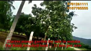 21acres mango garden for sale in somala || Chittoor District || 17 lacs per Acre || 9701261111