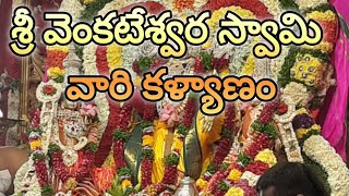 శ్రీ వెంకటేశ్వర స్వామి వారి కళ్యాణం | Seven Hills, Nizampet | ముత్యాల తలంబ్రాలు by Telangana Govt