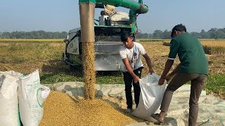 কৃষকের মুখের হাসি সোনালী ফসল কাটা হচ্ছে #farmer #smile