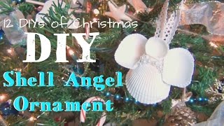 Shell Angel Christmas Ornament ♥ 12 DIYs of Christmas