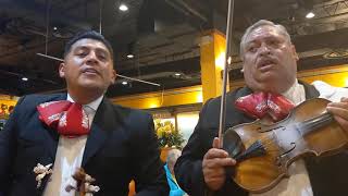 Serenata Huasteca - Mariachi Emperadores De Mexico: Galveston 5 (7-21-2021) @ Salsa's