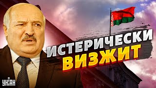 Обострение Лукашенко. Из Беларуси раздался истерический визг о мире