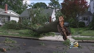 Powerful Storms Bring Down Trees, Cause Flooding, Power Outages