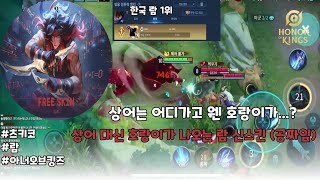 (王者荣耀)(澜) 상어가 호랑이로 바꼈다..? 람(Lam) 신스킨 플레이!! | 아너 오브 킹즈 | Honor of Kings | 츠키코