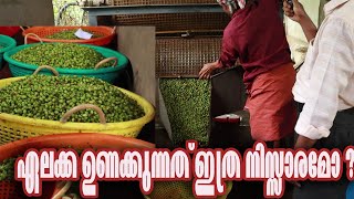 ഏലക്ക ഉണക്കുന്നത് ഇത്ര നിസ്സാരമോ ? / #cardamom processing