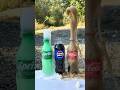 Mentos + Cola, Sprite, Pepsi: Whose Fountain is Higher? 😱 #mentos #cola #experiment