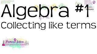 Collecting like terms. Algebra #1