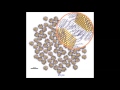 gold nanoparticles motion simulation