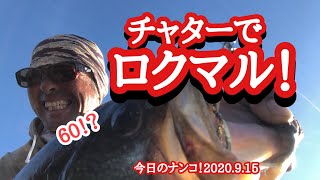 【今日のナンコ！2020.9.15】チャターでロクマル！