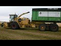 new holland fx60 groenvoederdrogerij timmerman luzerne hakselen