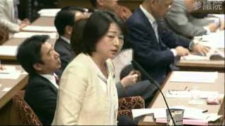 H25.11.27 参議院 政治倫理の確立及び選挙制度に関する特別委員会