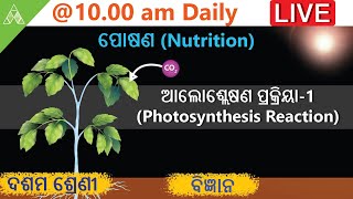 class 10 life science chapter 1|Animation|Posana(Nutrition)|Odia medium|ଆଲୋକଶ୍ଳେଷଣ-1 |Aveti Learning