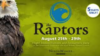 The Raptors Are Coming to Allan Brooks Nature Centre