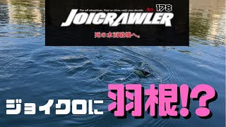 ジョイクローラーが遂に発売！ガンクラフト初の羽根モノルアーを実釣レビュー！