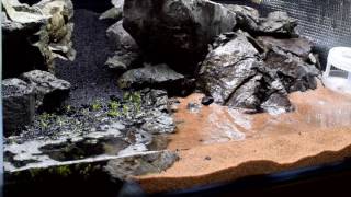 水草水槽アクアリウム 羅漢石 石組み レイアウト 45 Low