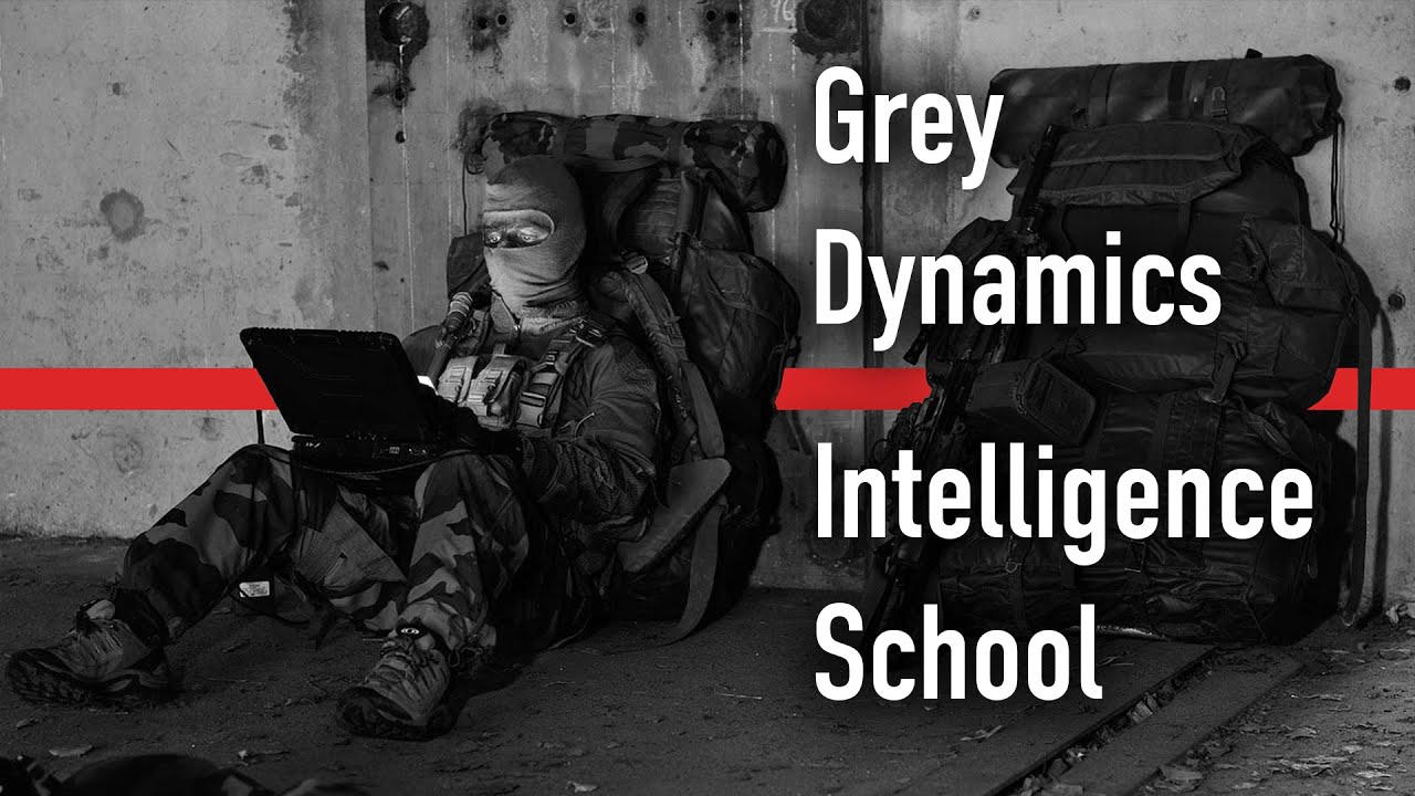 Grey Dynamics Intelligence School The Origins Structure And Vision