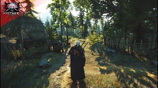 The Witcher 3 - Music & Ambience - Walking Through Skellige Island