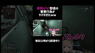 かわいい野良の害悪行為がヤバすぎたww【APEX】#shorts