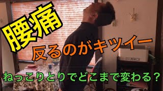 慢性的な腰の辛さ！！〈ねっこりとり〉でどこまで変わるかな？？