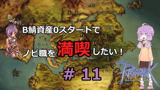 ラグナロクオンライン　B鯖資産0スタートでノビ職を満喫したい11